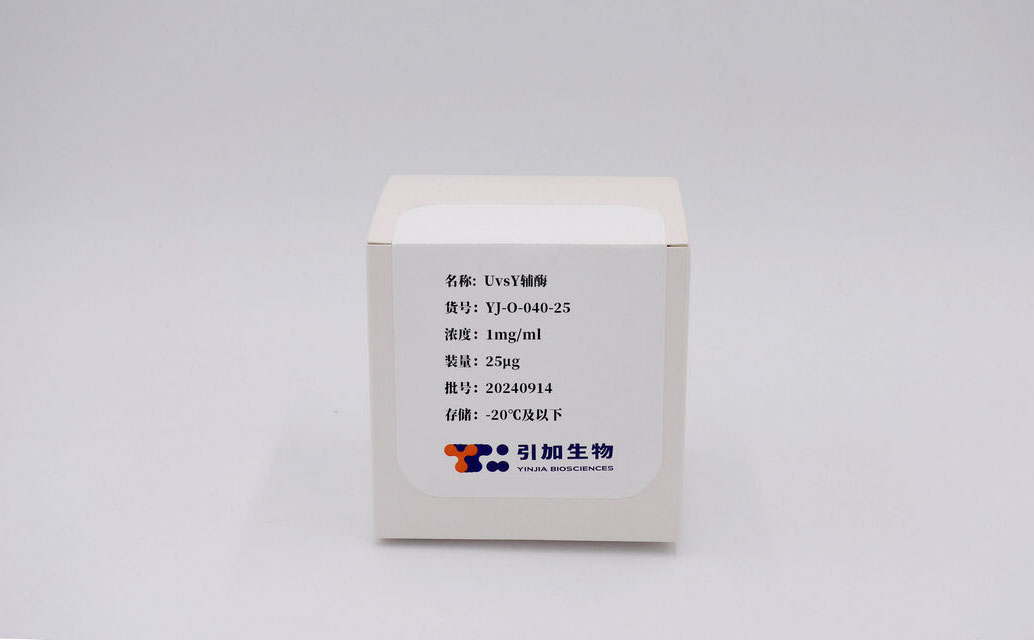 UvsY輔酶
