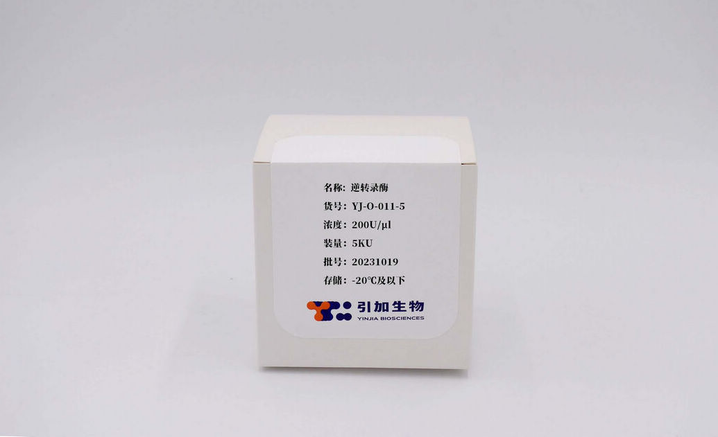 逆轉(zhuǎn)錄酶 