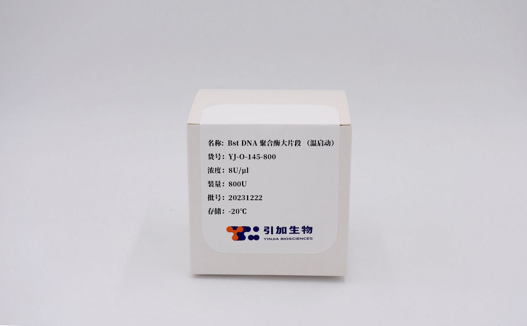 Bst DNA 聚合酶大片段 （溫啟動）