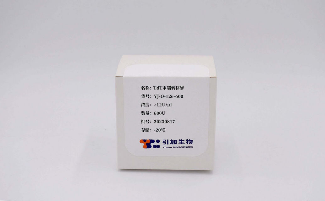 TdT末端轉移酶