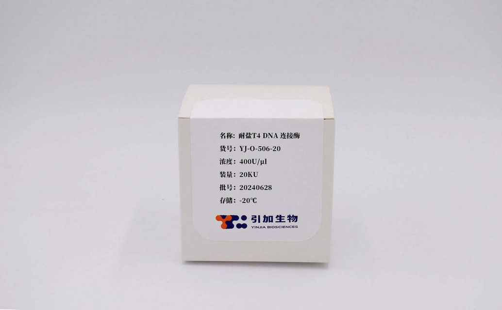 耐鹽T4 DNA 連接酶